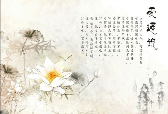 爱莲说 On The Love Of The Lotus By 周敦颐zhou Dun Yi D3wynightunr0lls